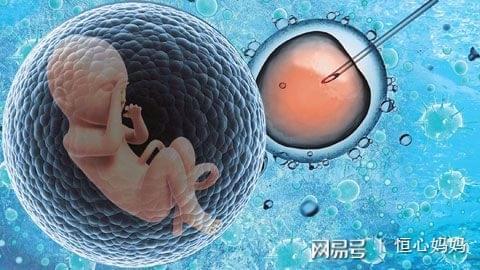 培养箱